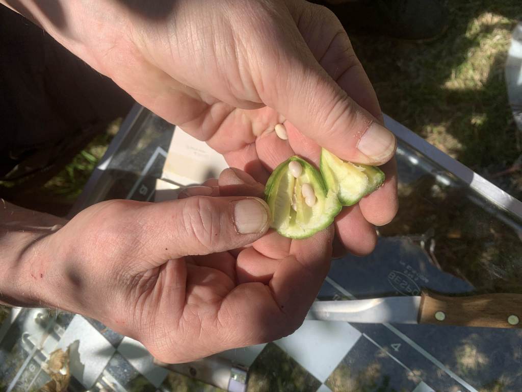 fot. Agnieszka Dragon fot. Agnieszka Dragon