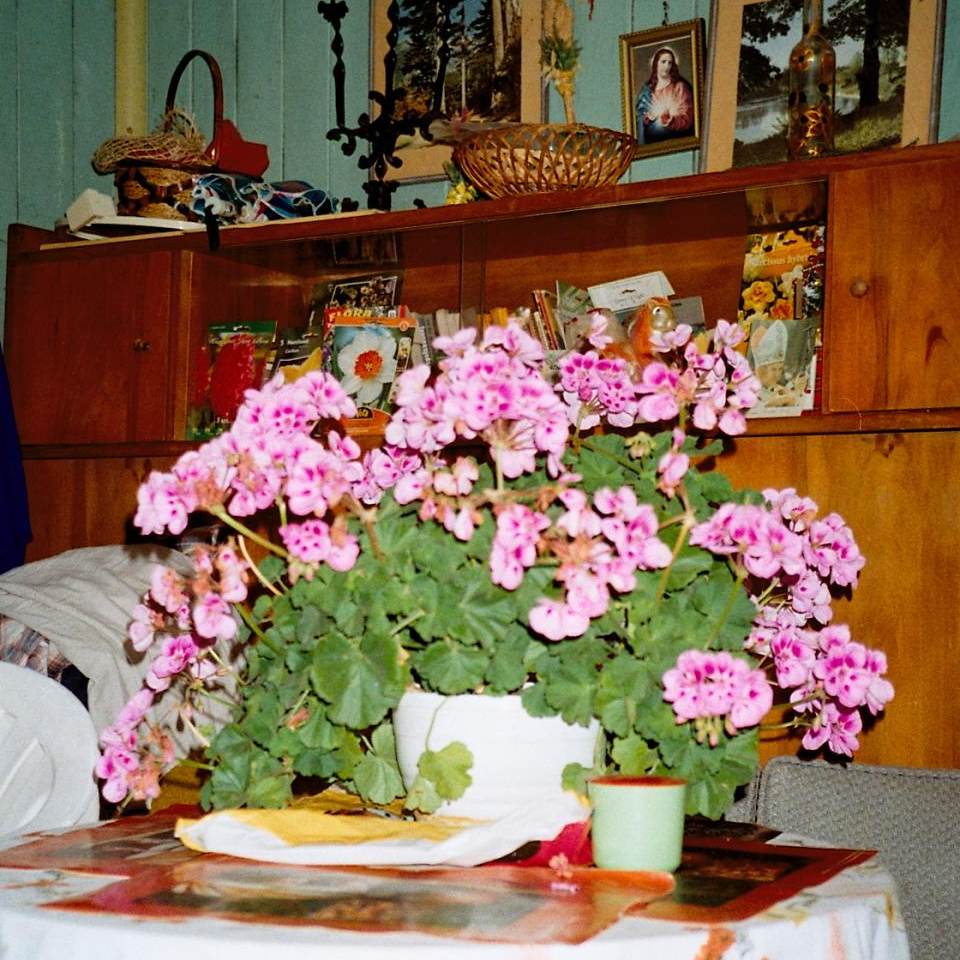 Fot. Dominika Turowicz Wnętrze domku Pana Jana