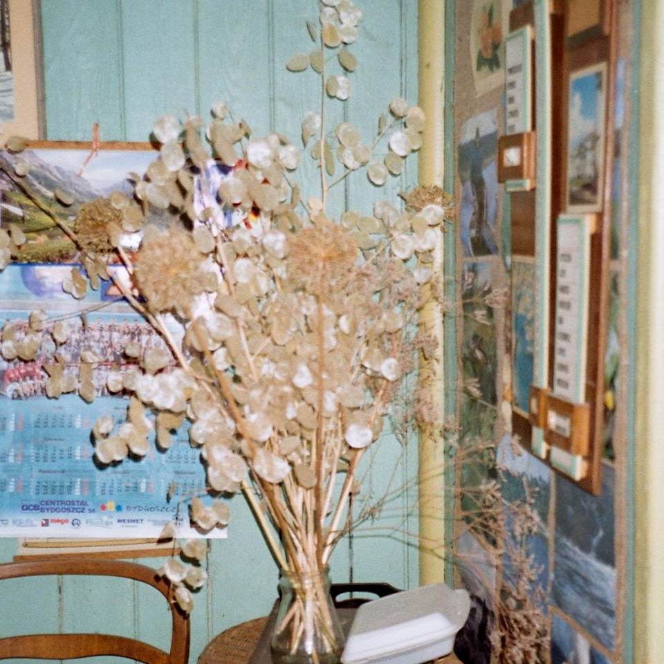 fot. Dominika Turowicz