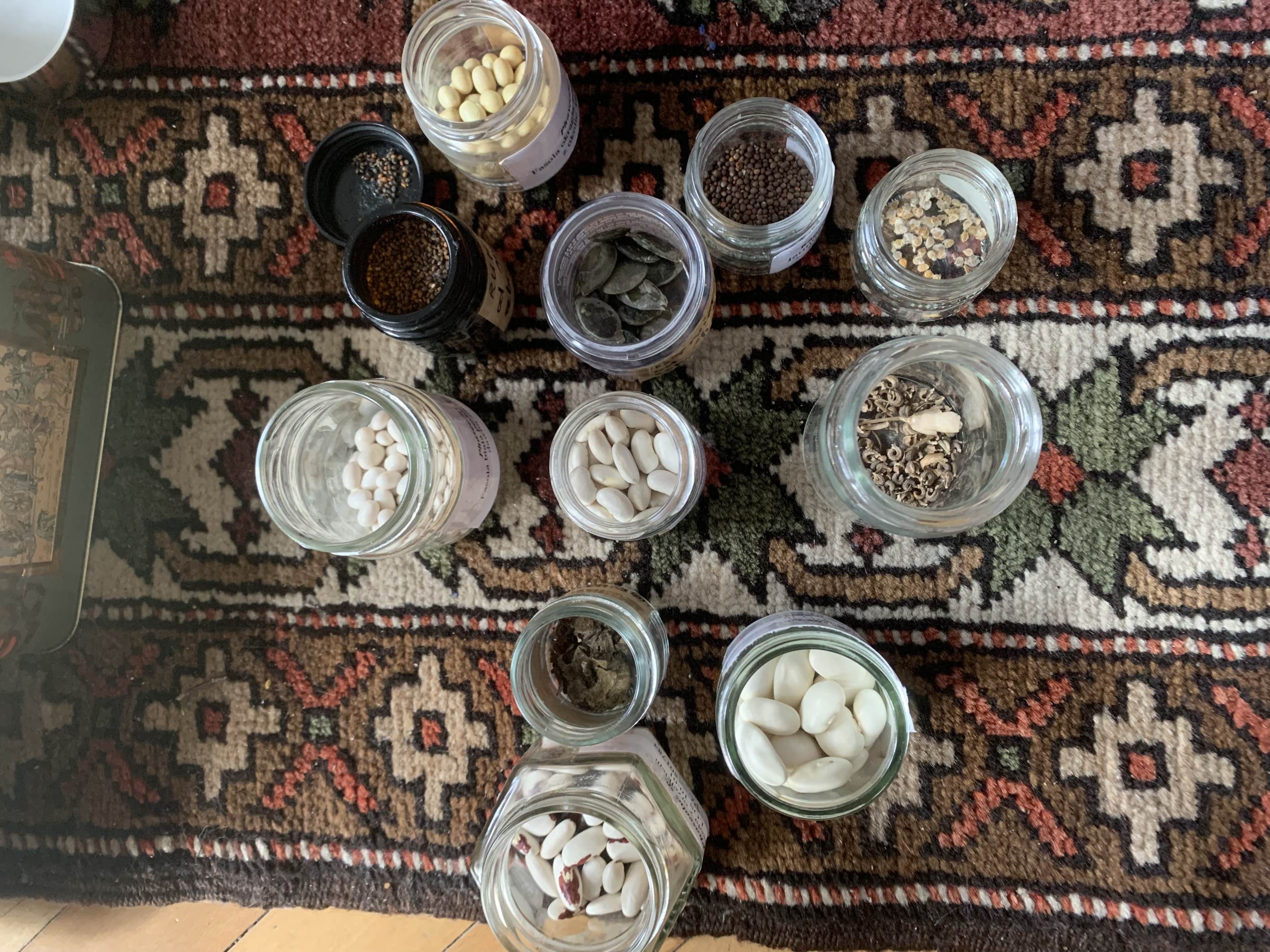 fot. Agnieszka Dragon fot. Agnieszka Dragon