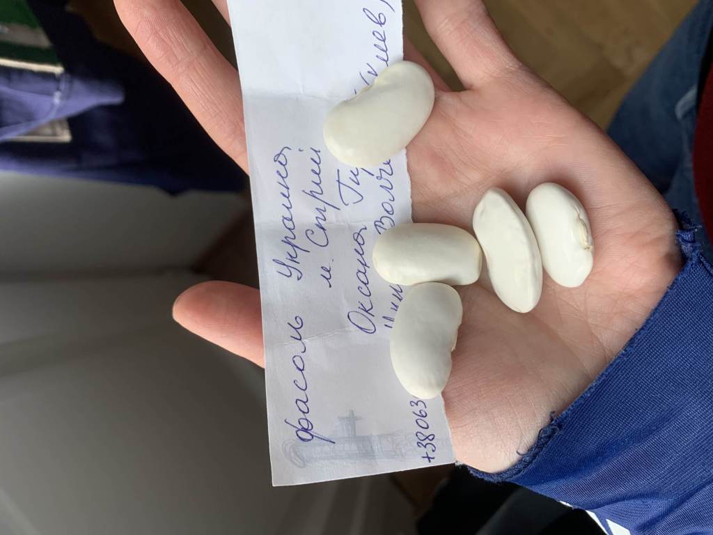 fot. Agnieszka Dragon fot. Agnieszka Dragon