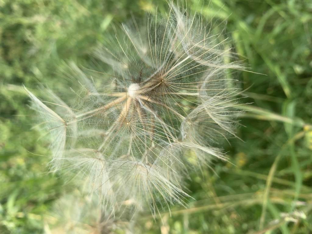 fot. Agnieszka Dragon fot. Agnieszka Dragon