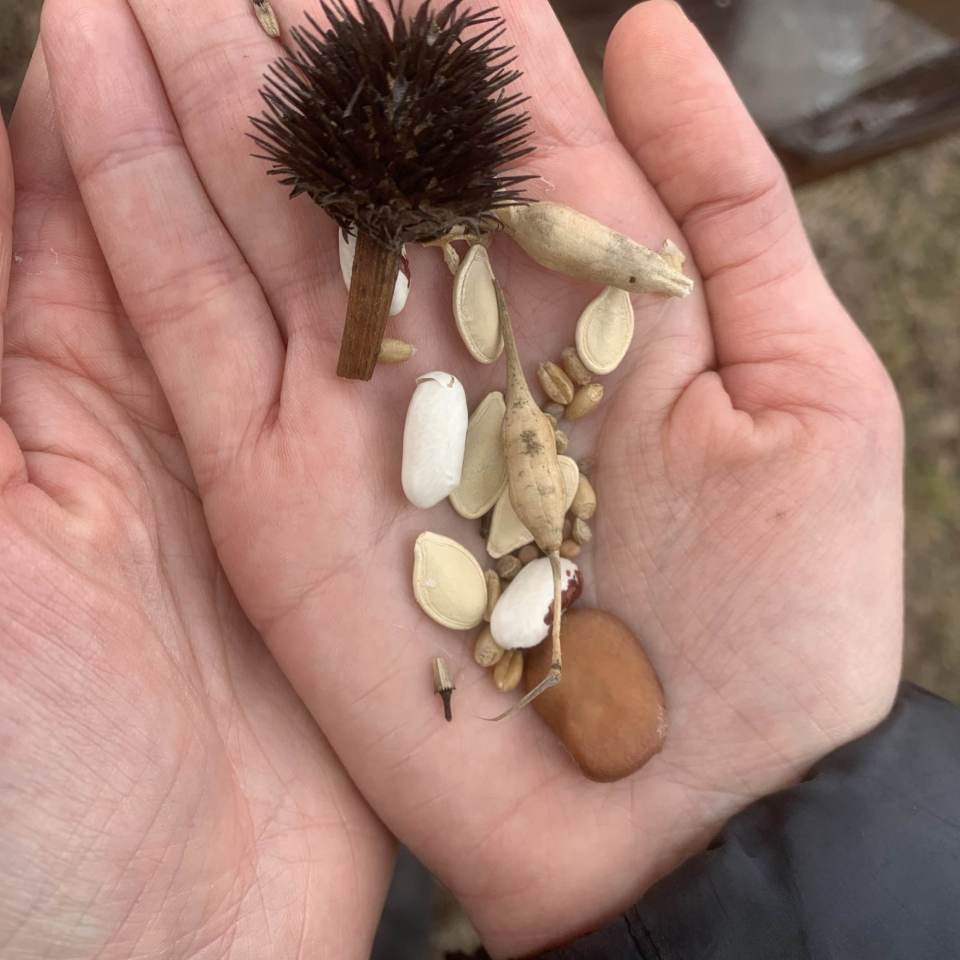 fot. Agnieszka Dragon fot. Agnieszka Dragon