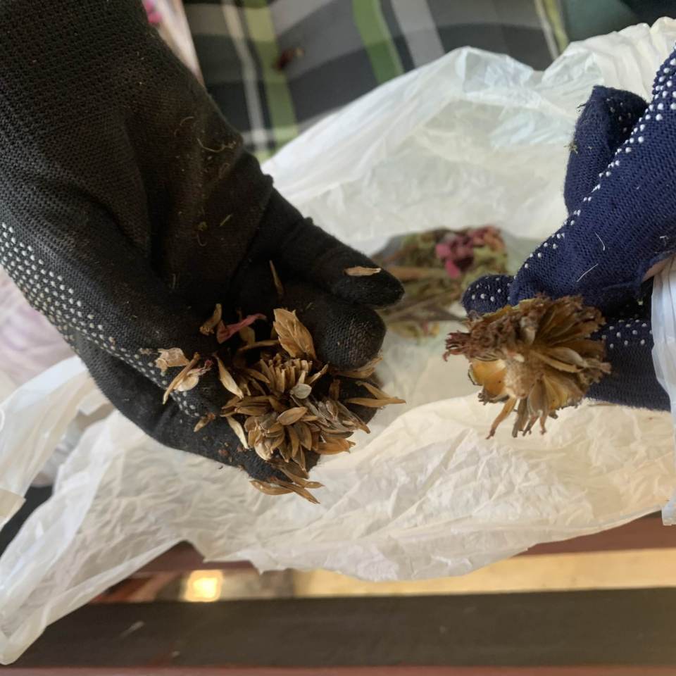 fot. Agnieszka Dragon fot. Agnieszka Dragon