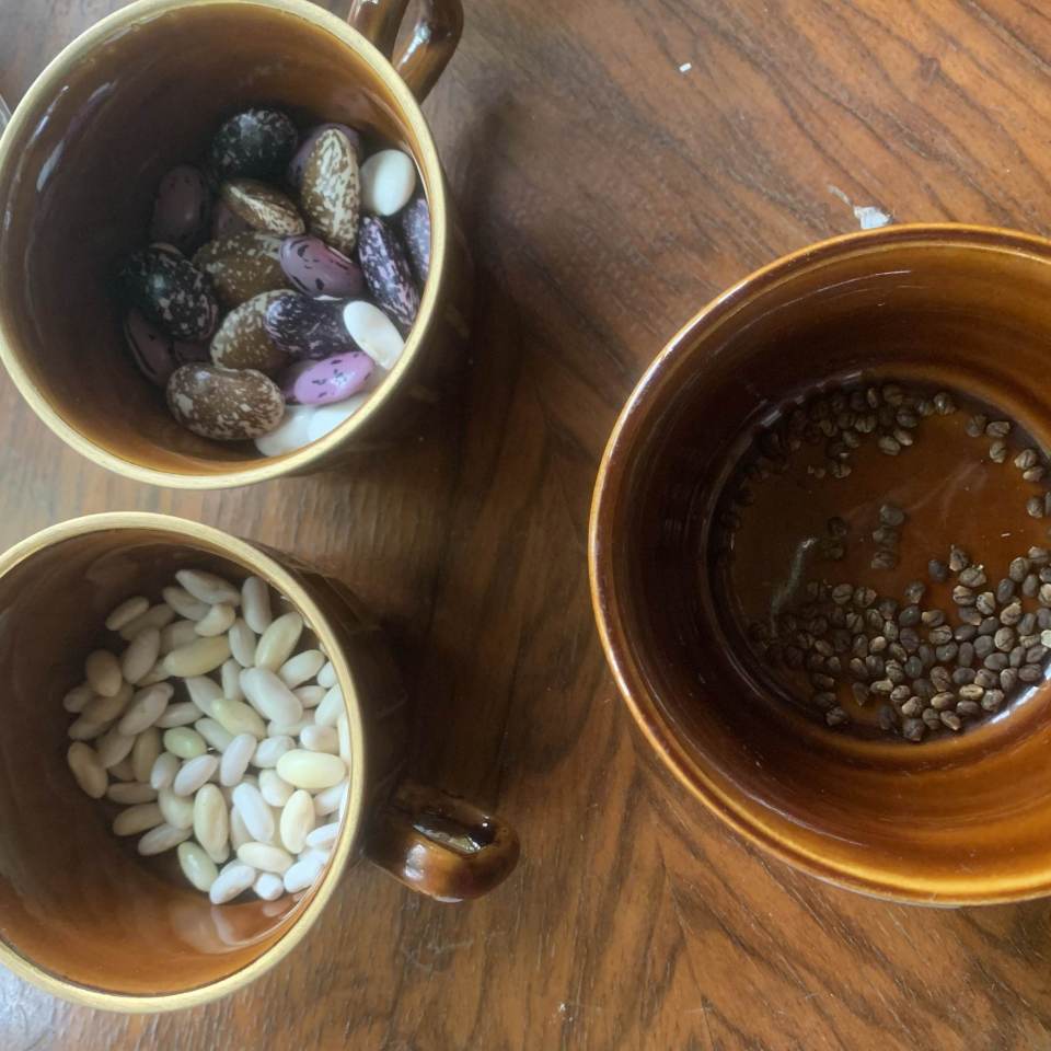 fot. Agnieszka Dragon fot. Agnieszka Dragon