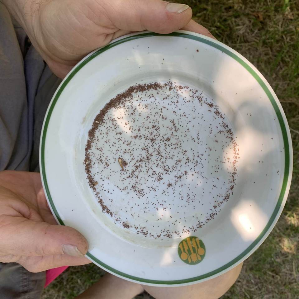 fot. Agnieszka Dragon fot. Agnieszka Dragon