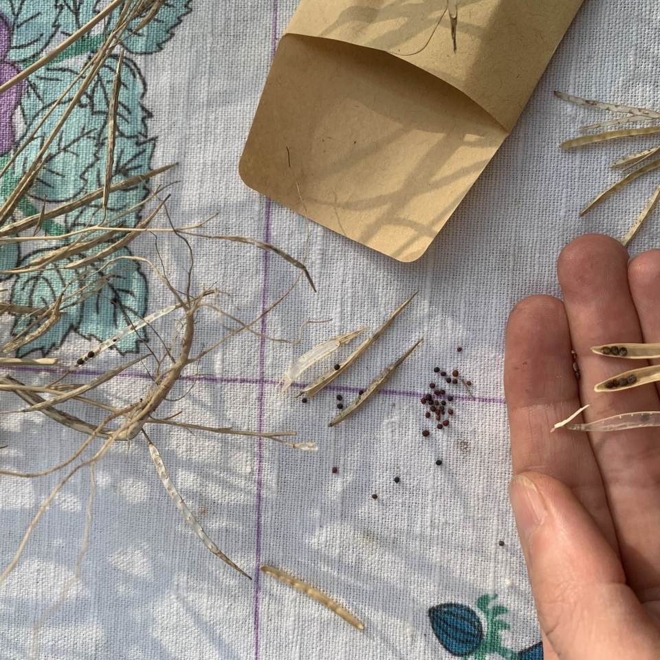 fot. Agnieszka Dragon fot. Agnieszka Dragon